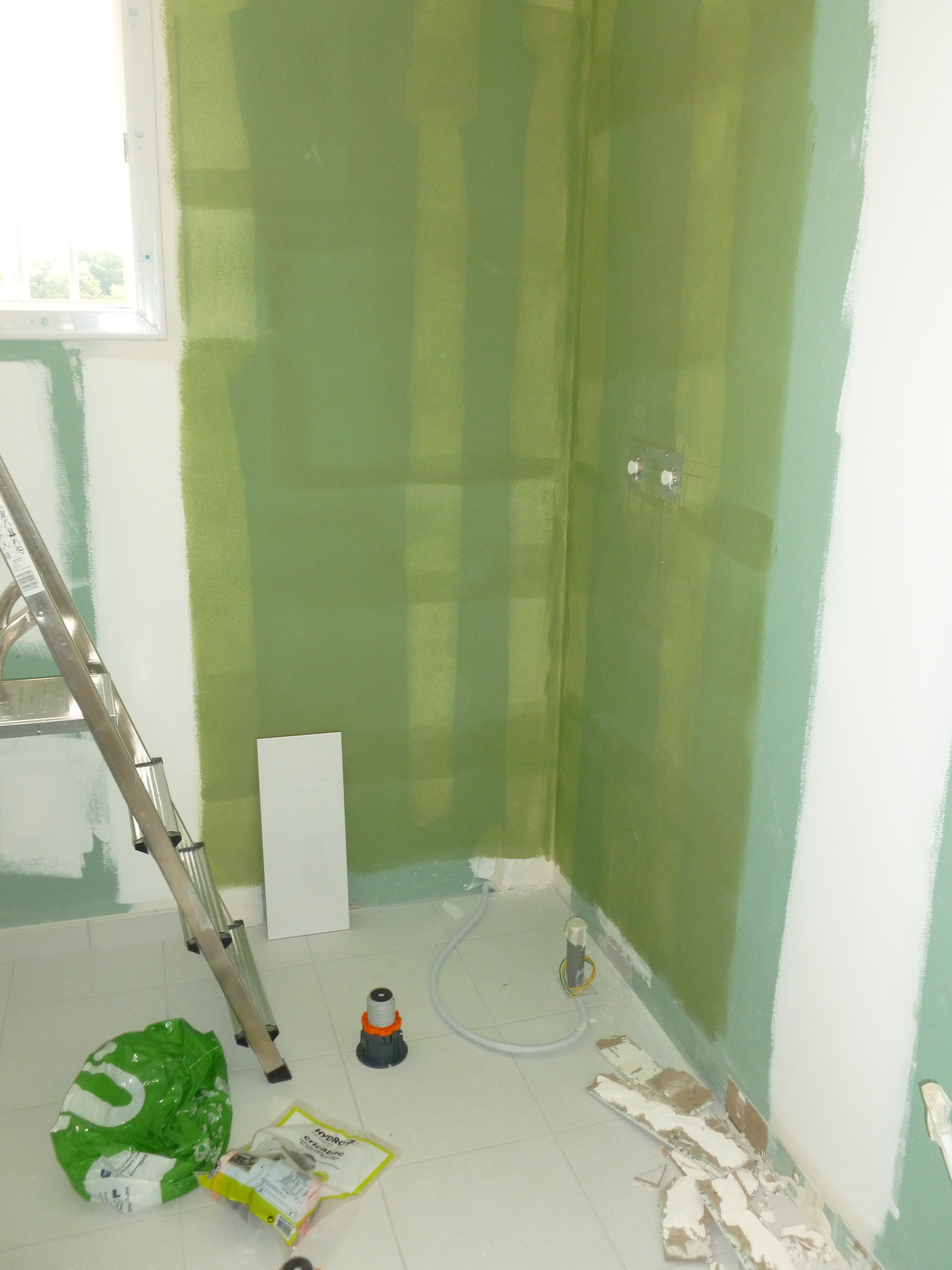 Avant Faïence salle de bain