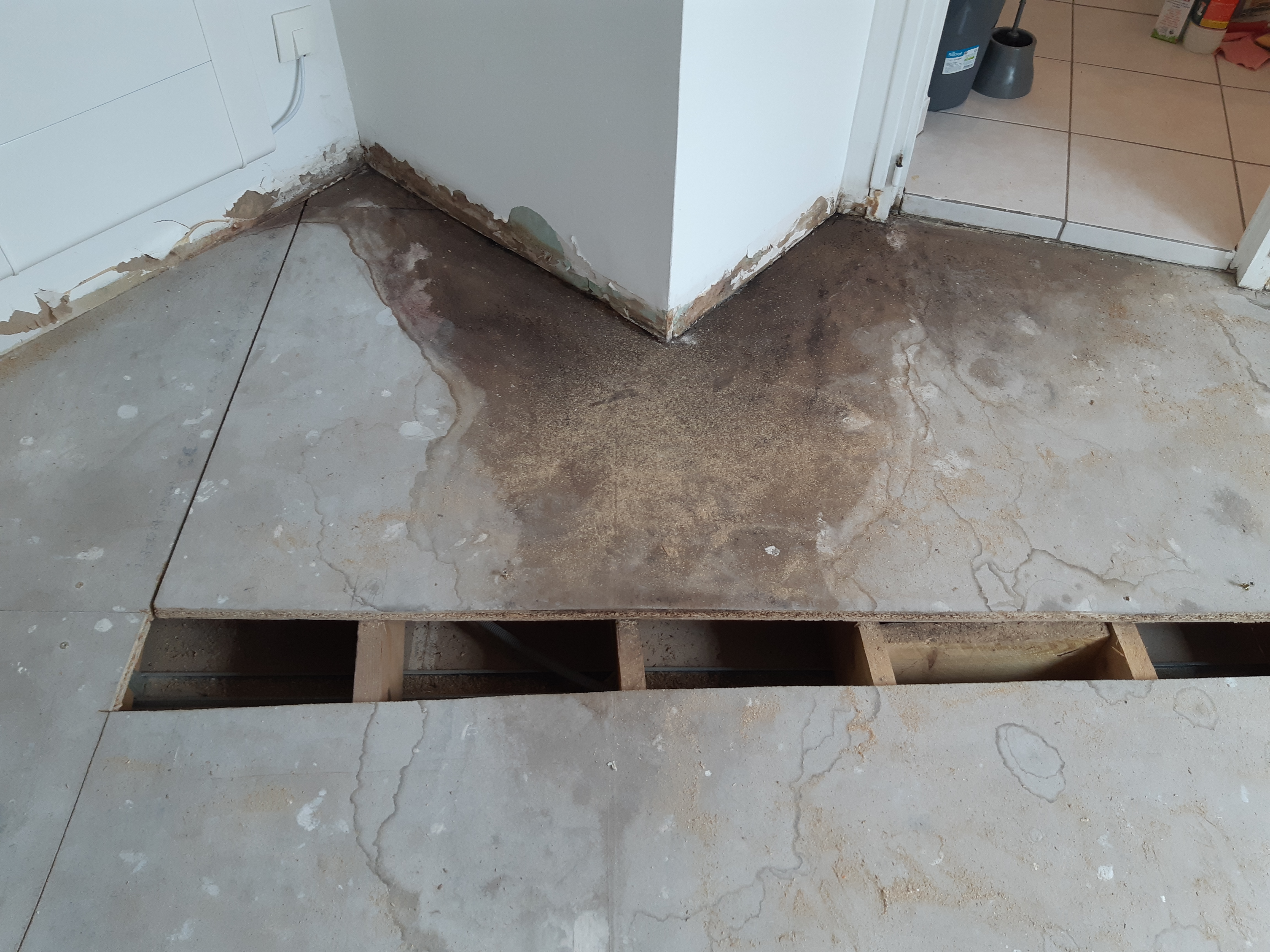 Avant Remise en état