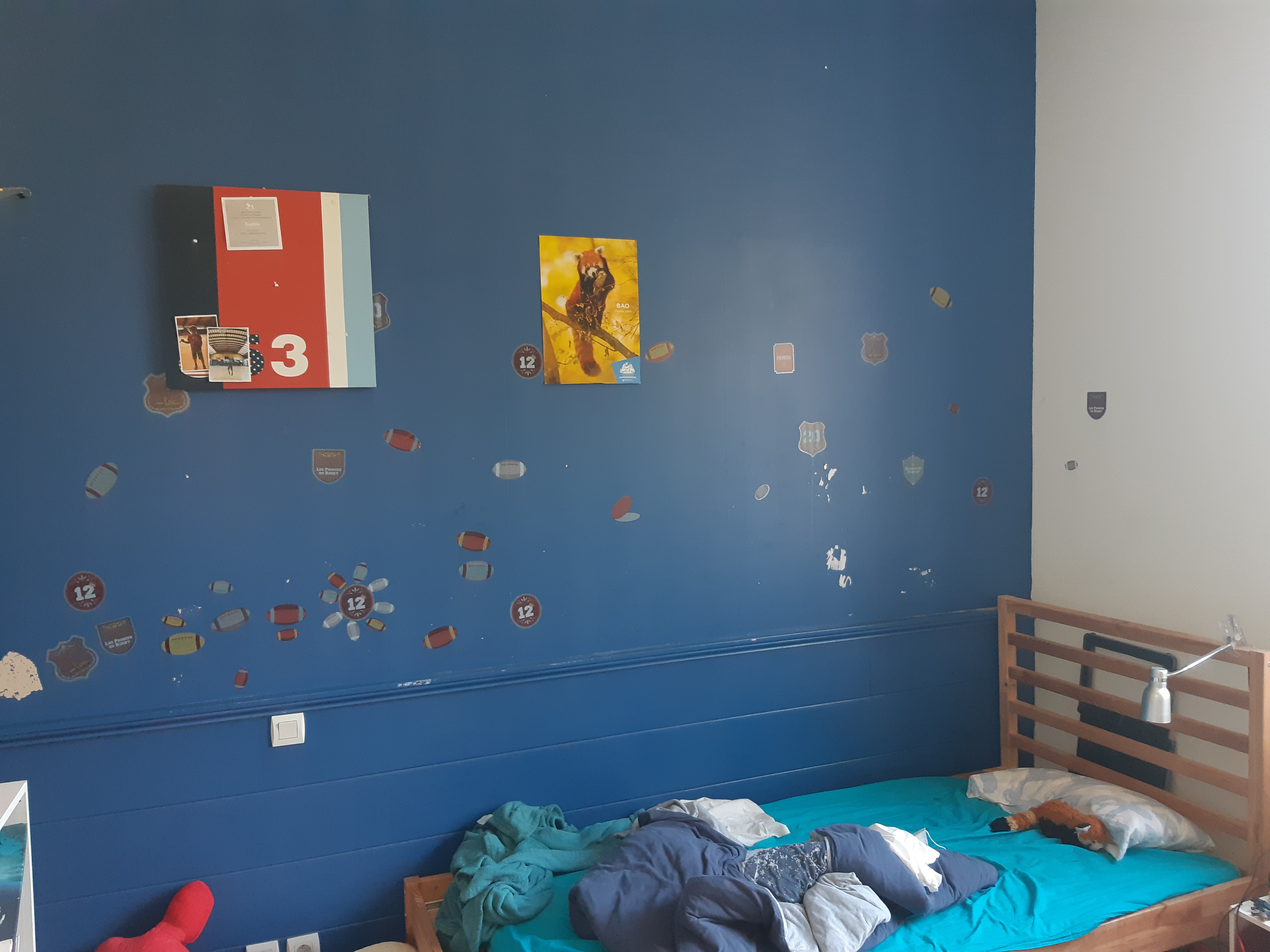 Avant Rénovation peinture salon