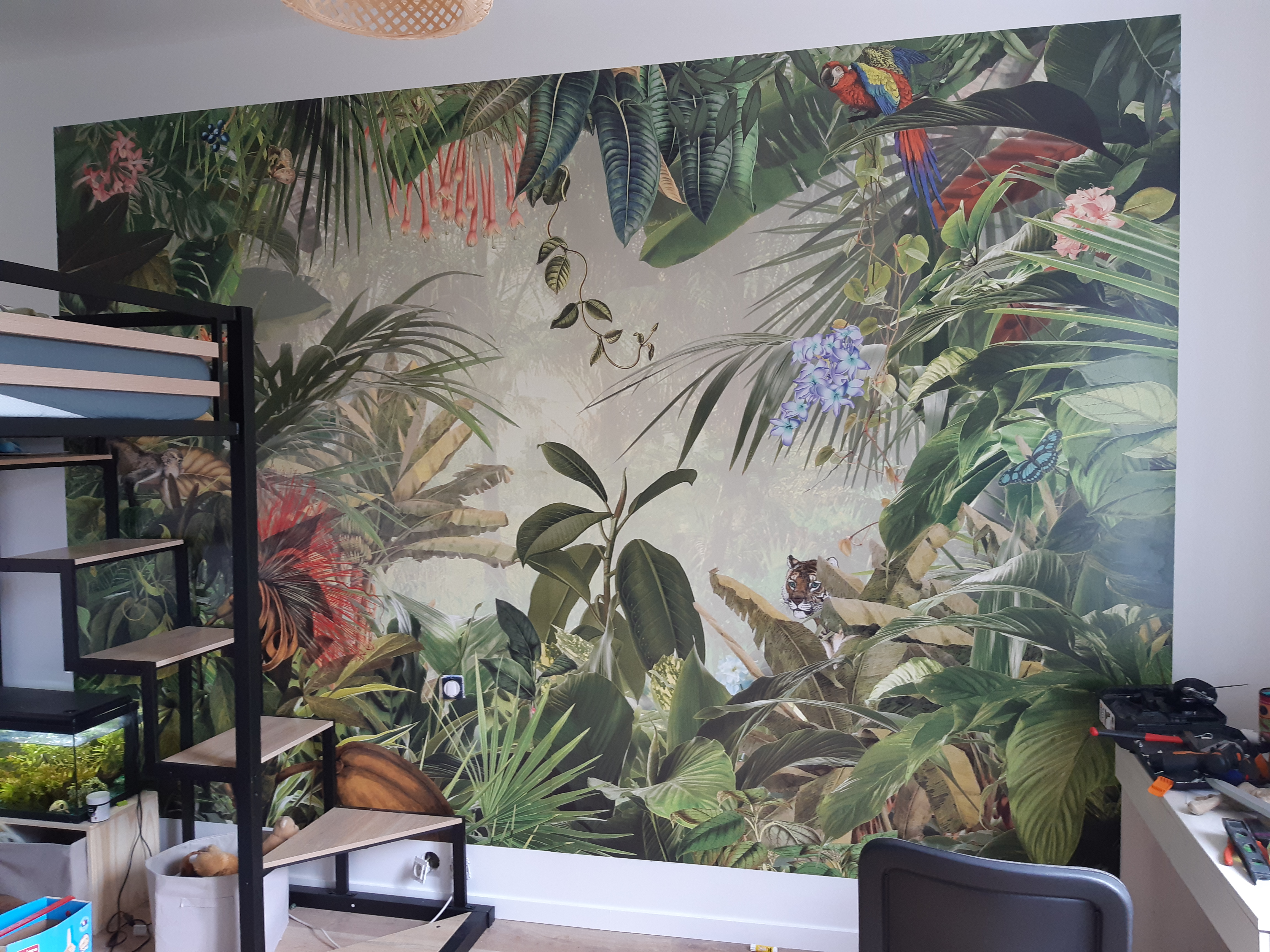 Après Rénovation peinture salon