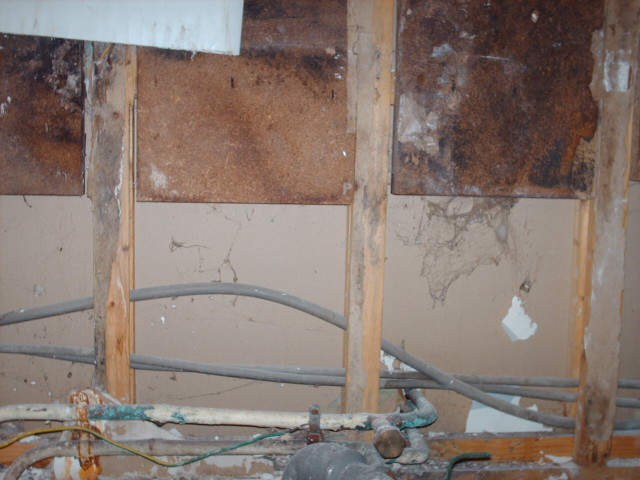 Avant Rénovation sanitaire complète